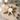 Gold star-shaped candle holder with a lit candle on a white surface.