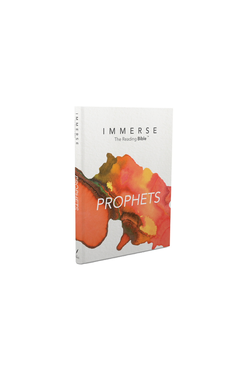 Immerse Bible Vol 4/Prophets