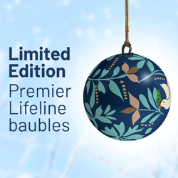 Charity Baubles (pack of 2)  - In aid of Premier Lifeline
