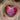 Hanging Heart- Red Snowflake Design