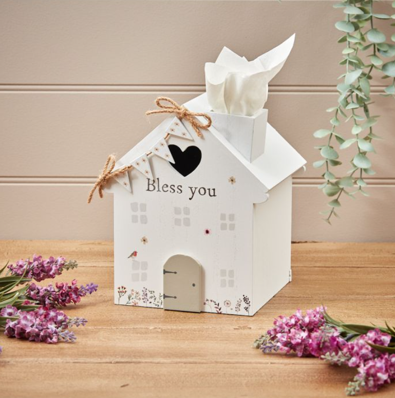 Tissue Box "Bless You" Robin Design