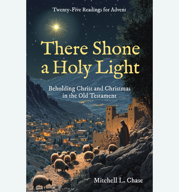There Shone a Holy Light (Twenty–Five Readings for Advent) by Mitchell L. Chase