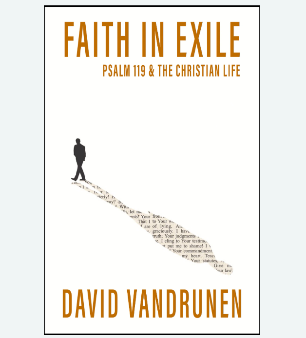 Faith in Exile by David VanDrunen