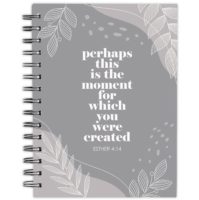 Perhaps This is the Moment Journal