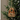 Keep Christ in Christmas Wood Christmas Ornament
