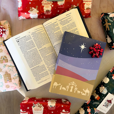 The Premier Bible Christmas Edition