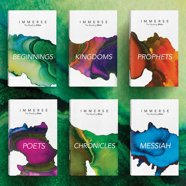 Immerse Bibles 6 Vol Set