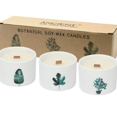 Set of Botanical Candles - Lemon Honeysuckle