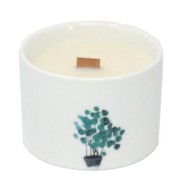 Set of Botanical Candles - Lemon Honeysuckle