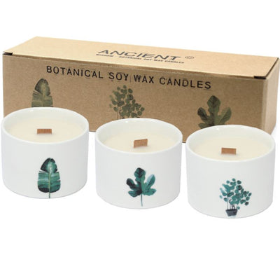 Set of Botanical Candles - Lemon Honeysuckle