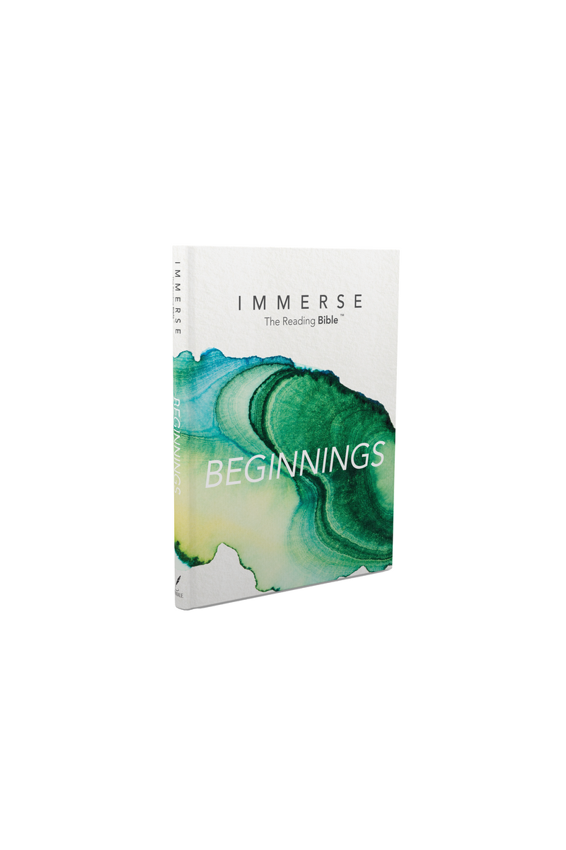 Immerse Bible Vol 2/Beginnings