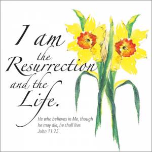 I am the Resurrection Easter Cards (pack of 5)