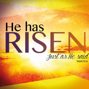 Risen, as He said Easter Cards (pack of 5)