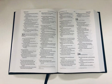 Premier Bible Voice of Hope Gift Edition