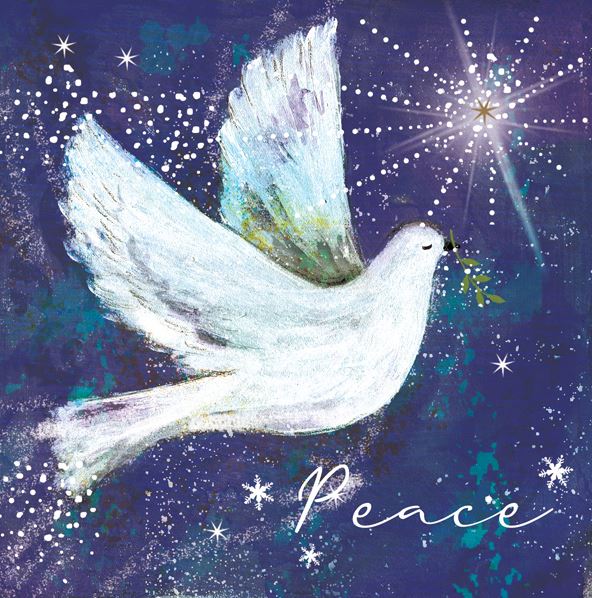 Dove Christmas Cards- (Pack of 20)
