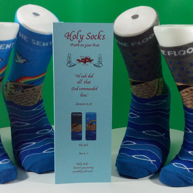 Holy Socks Ark & Rainbow (adult)