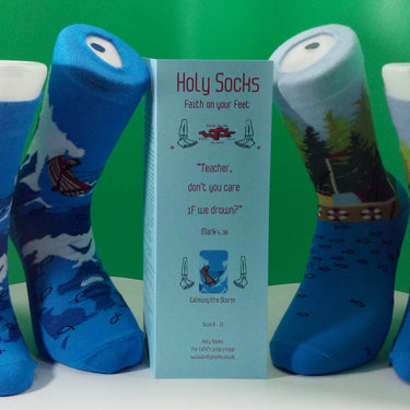 Holy Socks Calming the Storm (adult)
