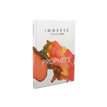 Immerse Bible Vol 4/Prophets