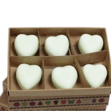 Soy Wax Melts - Apple Spice (Pack of 6)