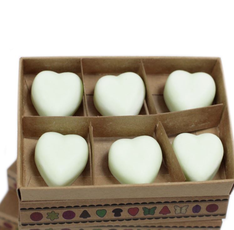 Soy Wax Melts - Apple Spice (Pack of 6)