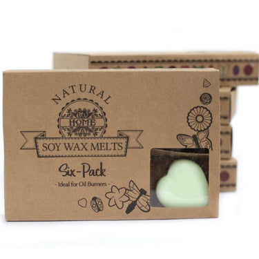 Soy Wax Melts - Apple Spice (Pack of 6)
