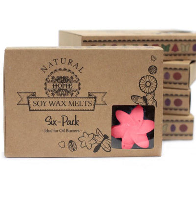 Wax Melts - Classic Rose (pack of 6)