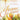 Jesus is Risen! Meditations for Easter