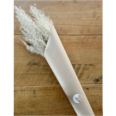 Natural Pampas Bouquet (Large)